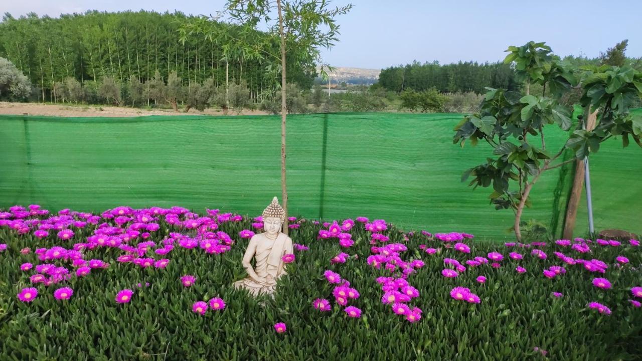 Holiday home Cuevas Cortijo Gachas Guadix