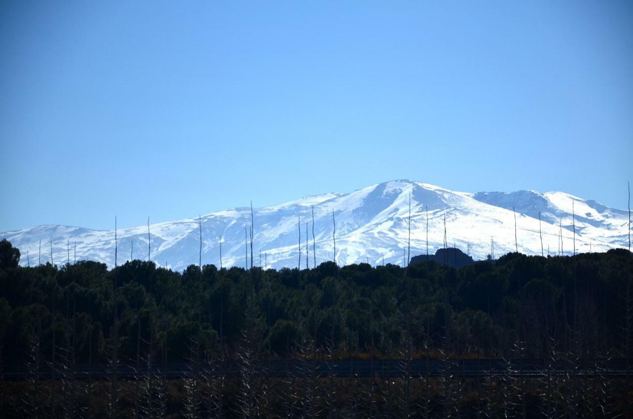 Holiday home Cuevas Cortijo Gachas