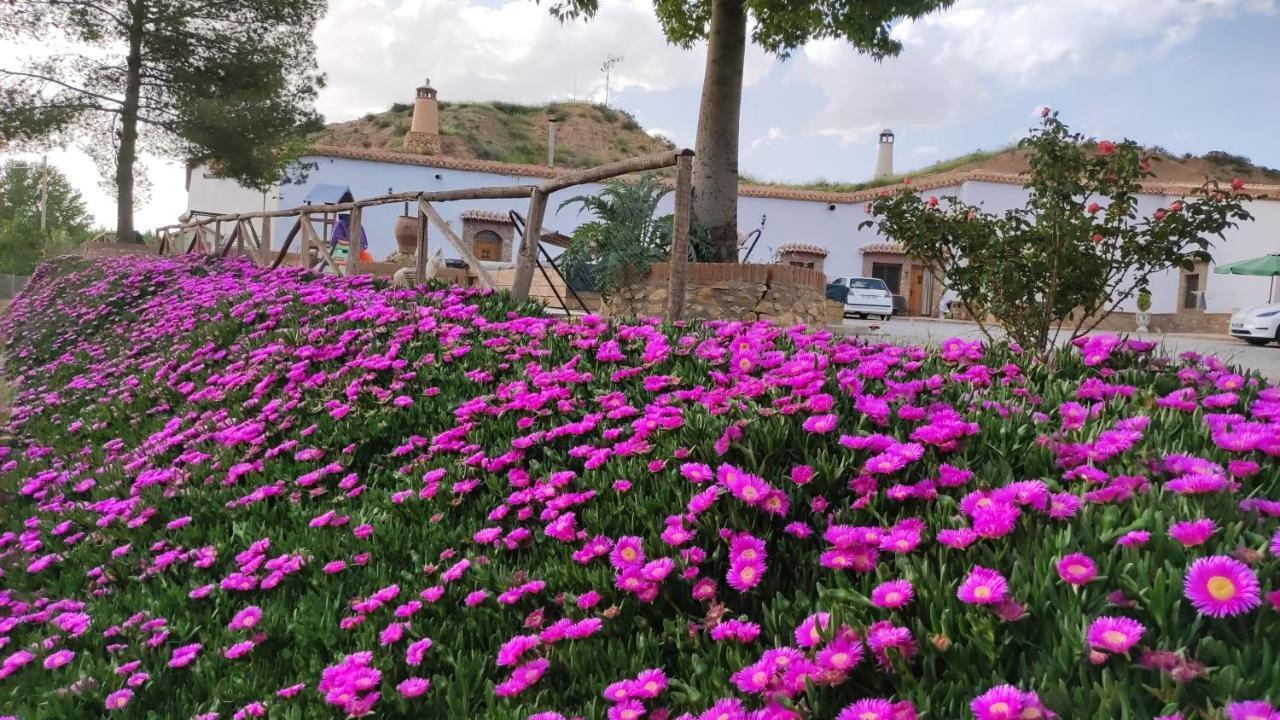 Cuevas Cortijo Gachas Vakantiehuis *
