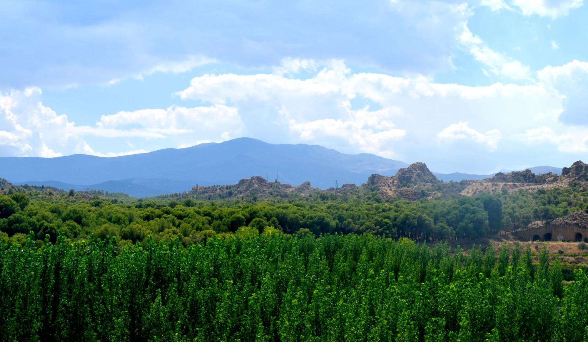 Cuevas Cortijo Gachas Vakantiehuis